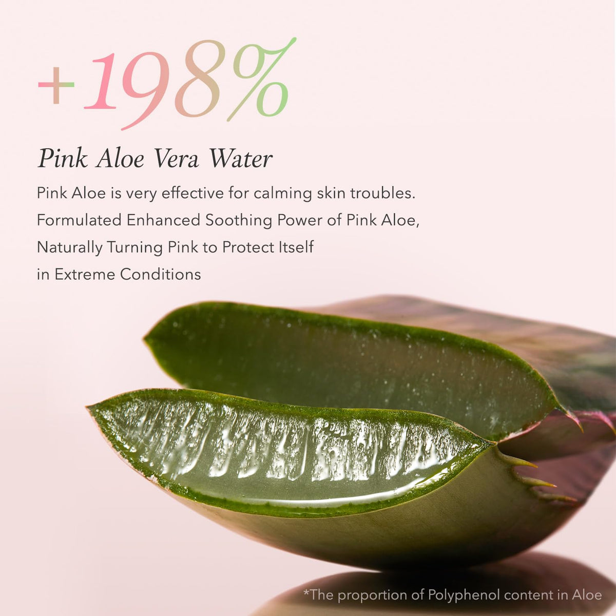Aprilskin Pink Aloe Pack Cleanser 120g